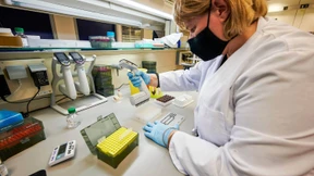 Islands konsequente Jagd auf Virusmutanten