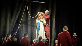 Fake News vom Schwan