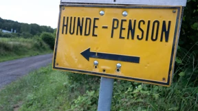 Gefragtes Zuhause auf Zeit