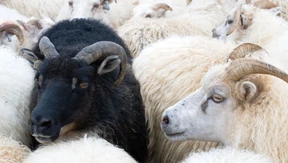 Neue Initiative für Menschen mit sichtbaren chronischen Erkrankungen