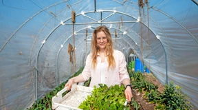 Rote Bete vor der Haustür