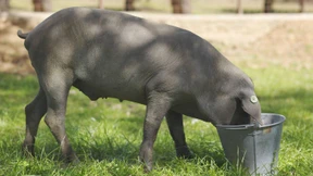 Hauptsache, es ist gut gewürzt