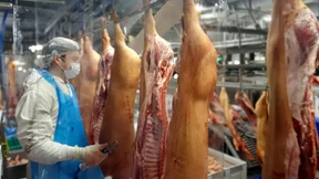 2119 Corona-Fälle wegen Ausbruch bei Tönnies