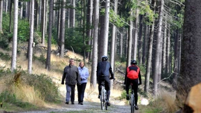 Landtag verabschiedet umstrittenes Waldgesetz