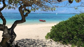 Trauminsel mit Nachgeschmack