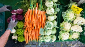 Was würde Greta essen?