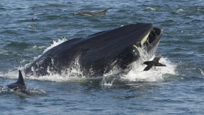 „Ich stand nicht auf dem Speisezettel“