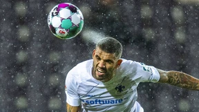 Wie dick ist das Fell?