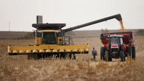 Rekordernten und niedrige Preise für Mais und Weizen
