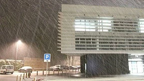 Wann ist denn der Truthahn endlich fertig?