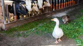 Start-up-Kultur für Bauern