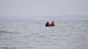 „Sie versuchen es mit allem, auch mit aufblasbaren Einhörnern“