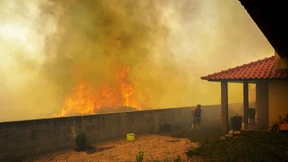 Über 1000 Hitzetote in Portugal