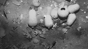 Historische Gold-Galeone „San José“ entdeckt