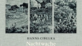 Im ruhigen Auge eines Taifuns