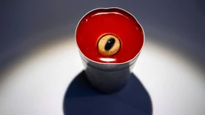 Gammel-Hai, Augen-Saft und Maden-Käse