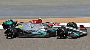 Rasende Bocksprünge und viele Fragen