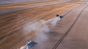 59 Prozent aller Arten leben unter unseren Füßen – ihr Lebensraum schwindet