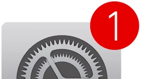 Bitte nicht schon wieder ein Update!