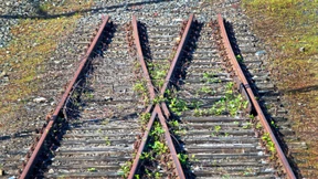 Ein Silberstreif am Bahndamm