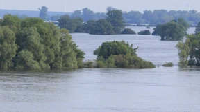 Entwarnung kommt nur schrittweise