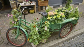 Warum die Freiburger Grünen in einer Identitätskrise stecken