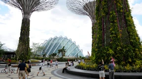 Der Tropenübungsplatz