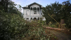 Tornado oder Fallwind: Wetterdienst sucht Zeugen