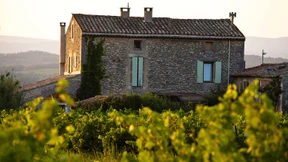 Schätzchen im Hinterland