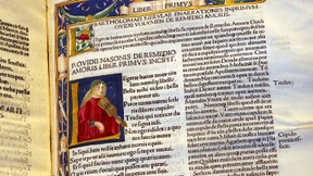 Besonders zum Entstauben von Dubletten geeignet