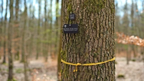 „Ganz andere Stimmung als auf einem Friedhof“