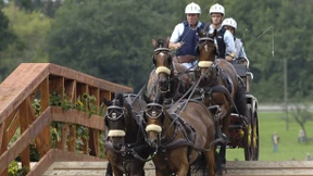 Süße Träume vom Sportsommer 2026