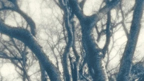 Josja, Jonja, Danja und Sara verriet ihr netter Nachbar