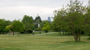 Canary Wharf mitten im Wald