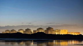 Quallen legen Frankreichs größtes Atomkraftwerk lahm