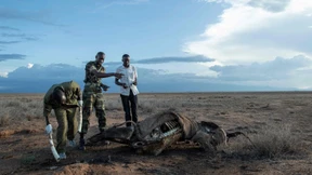 „Touristen möchten keine verdursteten Tiere sehen“