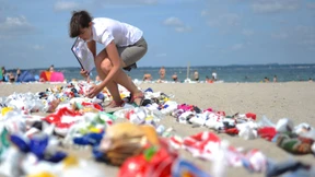 Wunderwürmer in der Küche