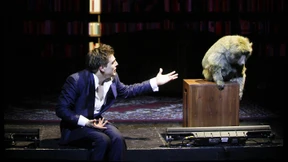 Stammt nur der Mann vom Affen ab?