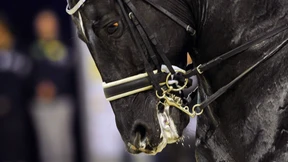 Vom Wunderhengst zum Problempferd