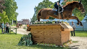 Pferdesport, Picknick und sommerliches Wetter