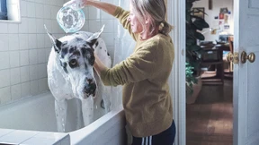 Wer war Walter wirklich?