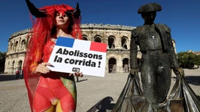 Frankreich und der Kampf um die Stiere