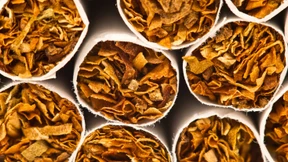 Raucher bringen Fiskus mehr Steuern ein