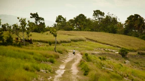 Der herbe Duft Haitis