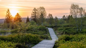 Wälder wie Wolken, Wolken wie Wälder
