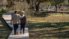 Das Ende der Riester-Rente