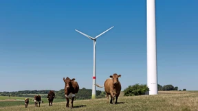 Fondsgesellschaft Mirova will selbst Standards für ESG-Anlage entwickeln