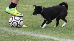 Die schnellste Karte der Geschichte