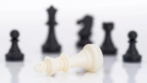 „Parasitäre Motive“