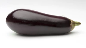 Warum die Aubergine das nächste „Superfood“ sein wird